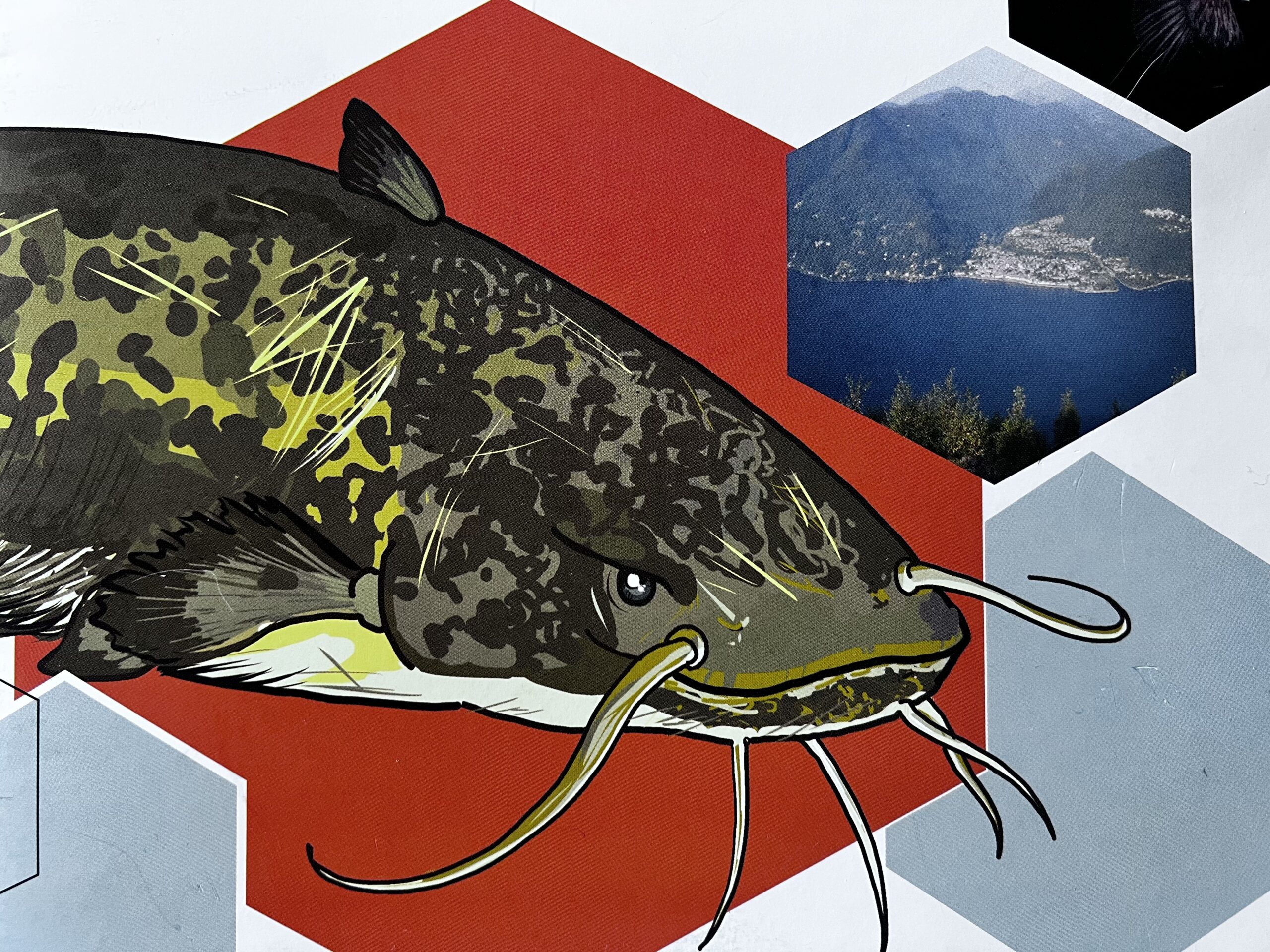 Esplorando la Biodiversità:  Progetto LIFE PREDATOR