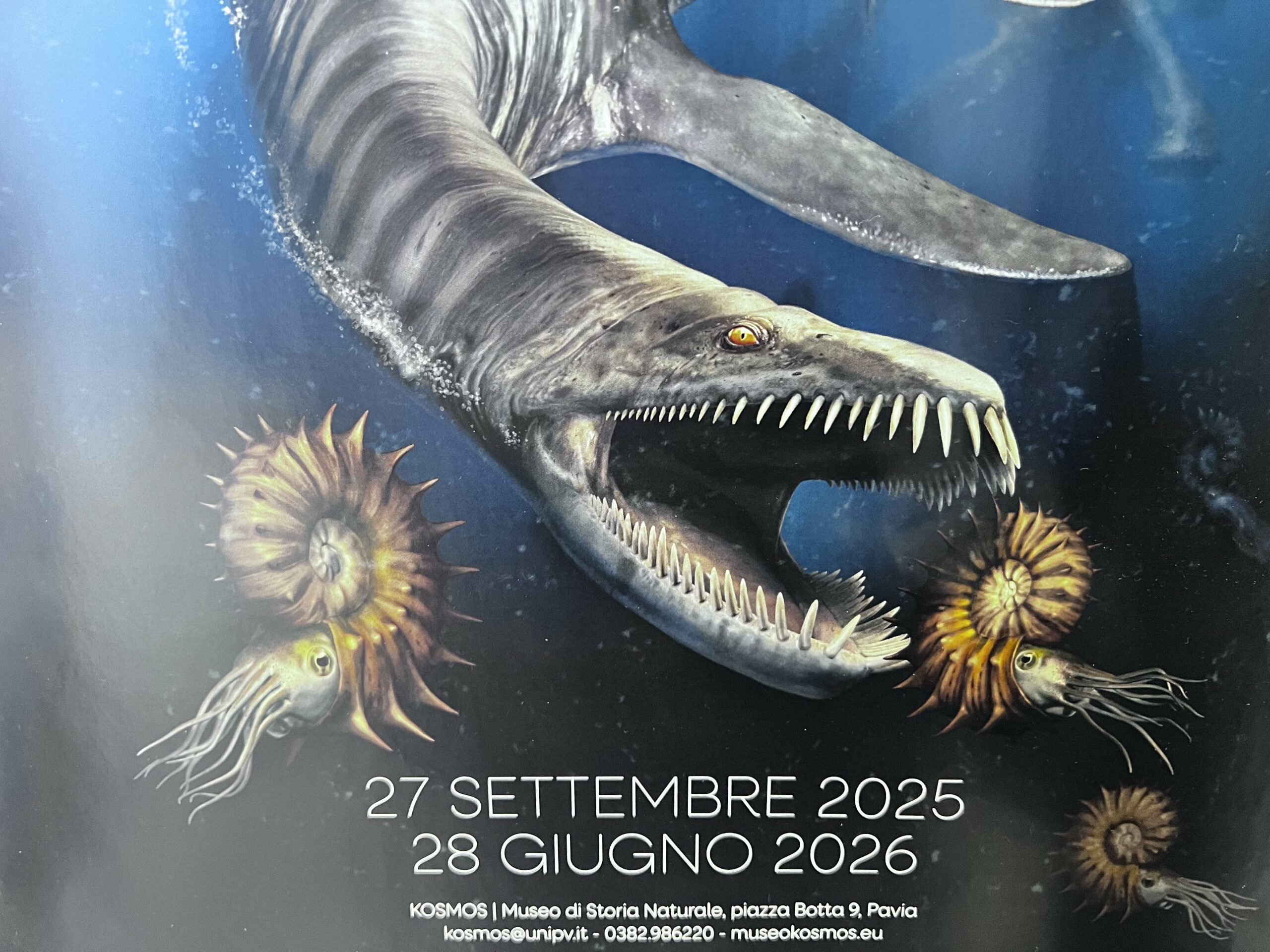Oceani perduti. giganti marini al tempo dei dinosauri